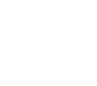 Icon 8
